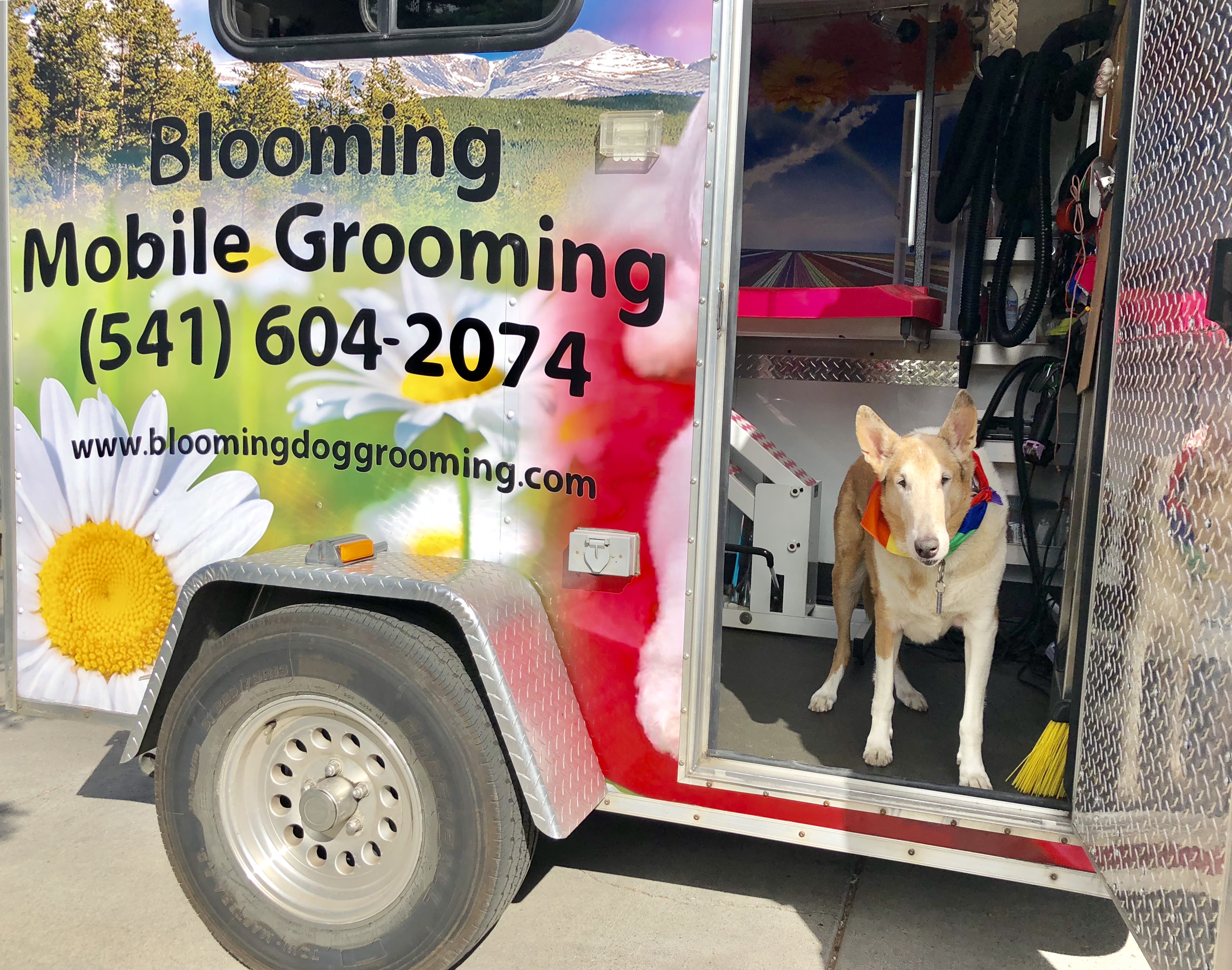 blooming mobile grooming