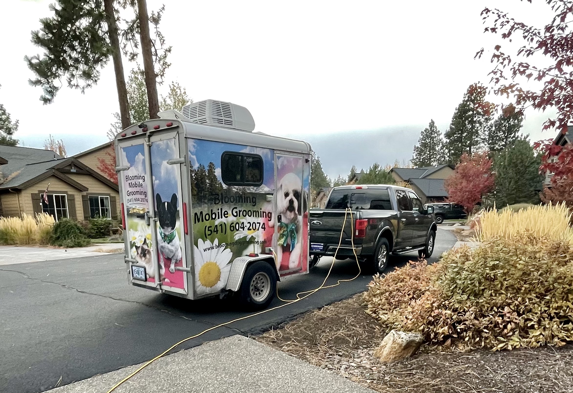 Blooming mobile sale grooming